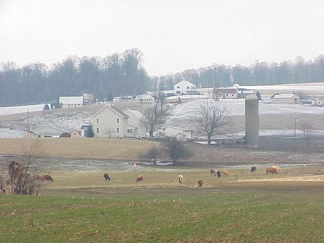 Looking northeast toward the confluence; located just left of the white house in the far distance.