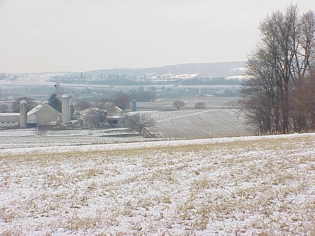 View to the northwest about 15 meters west of the confluence.