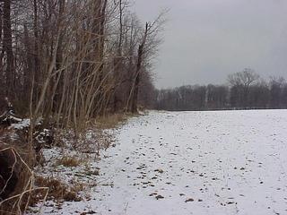 #1: Site of 40 North 76 West, looking northeast along the treeline.