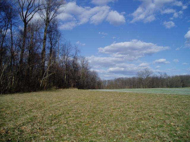 Confluence; Looking East