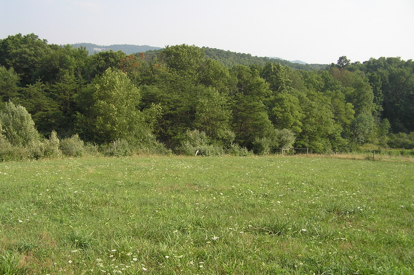 Confluence of 40 North 78 West, looking southeast.