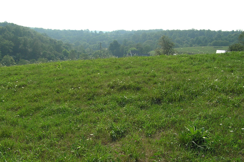 View to the west from the confluence point.