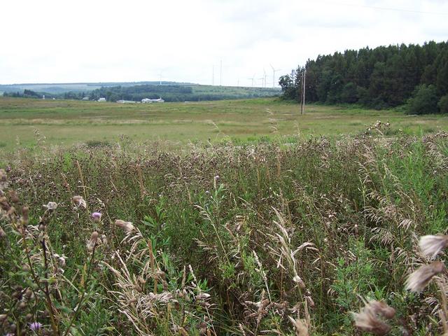 Looking South (wind turbines in distance).