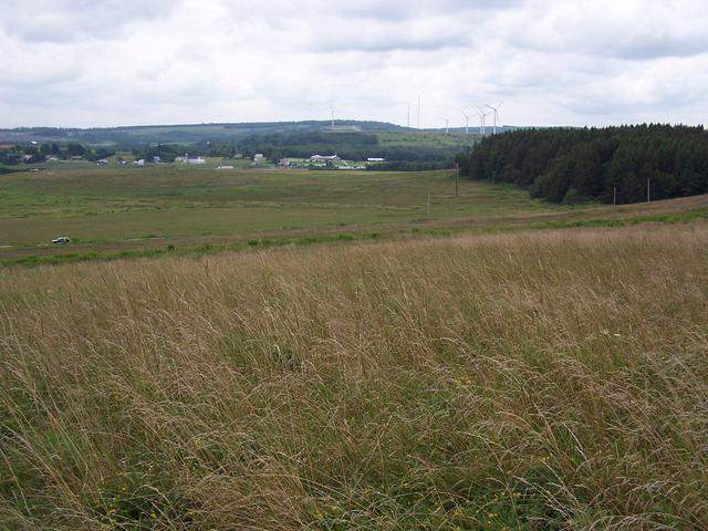 Overview looking South from the hill above the confluence.