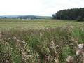 #3: Looking South (wind turbines in distance).