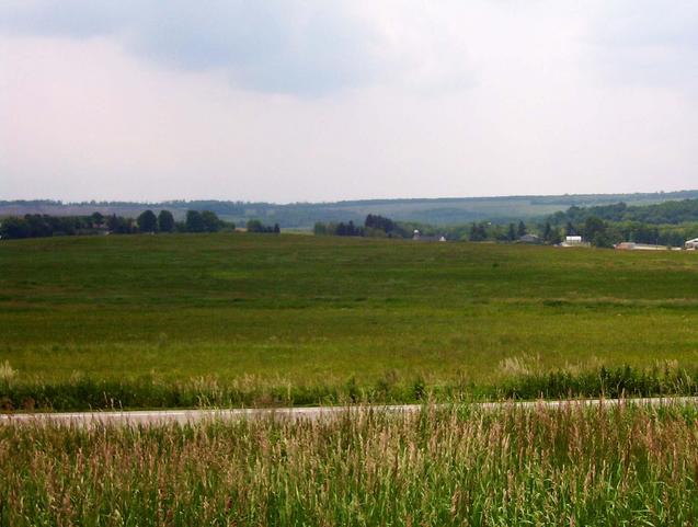 Still more grass on both sides of the road to the south.