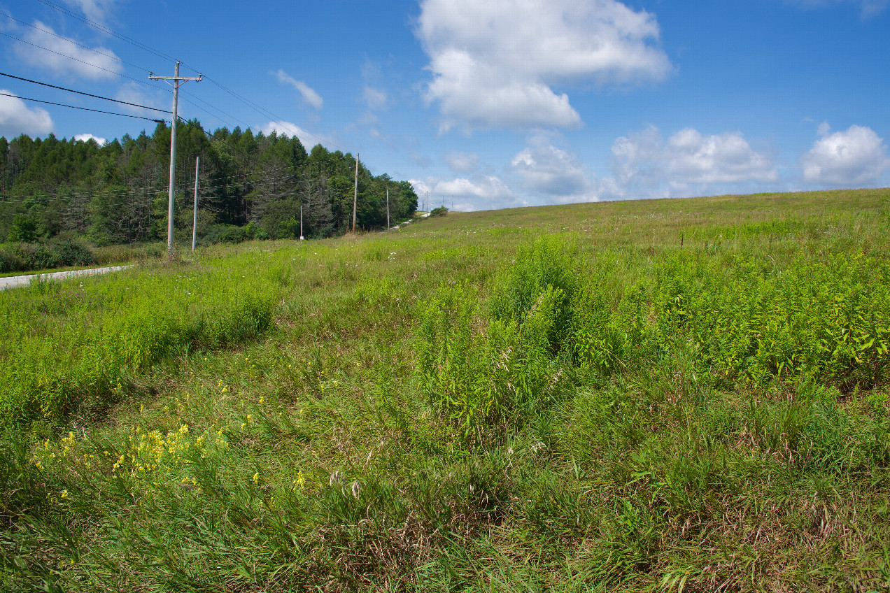 View West