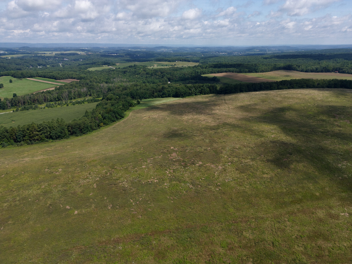 View North, from 120m above the point