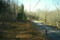 #4: Looking west