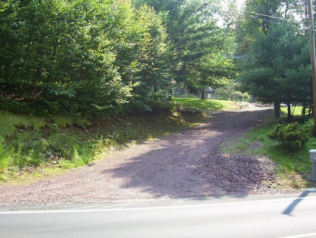 The confluence is in the woods on the left side of the picture