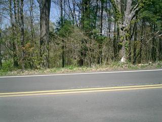 #1: south side of road looking north