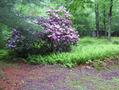 #2: View to the south