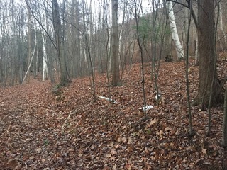 #1: Confluence of 41 North 76 West, in the foreground, on the higher ground, looking east.