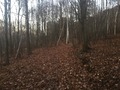 #6: View to the east from the confluence.