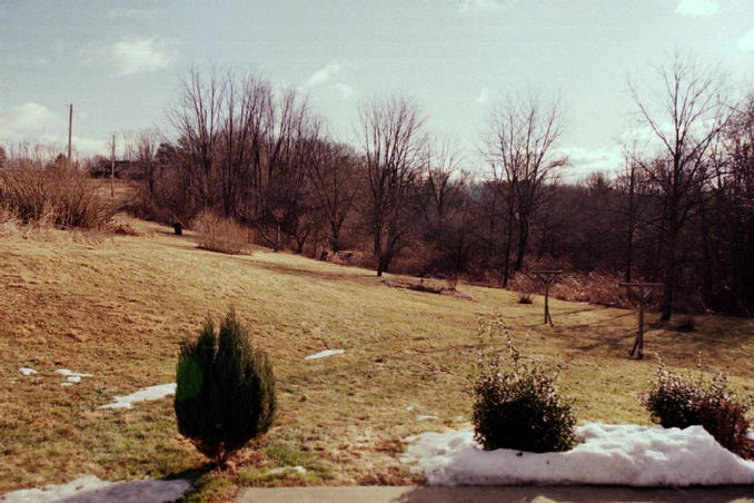 The backyard, looking east.