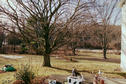 #5: The backyard, looking south.