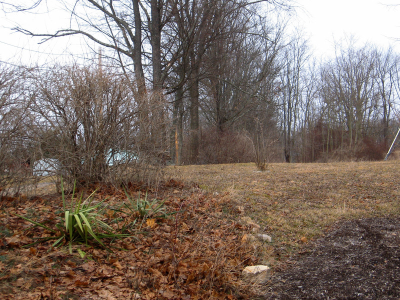 View north up the hill.