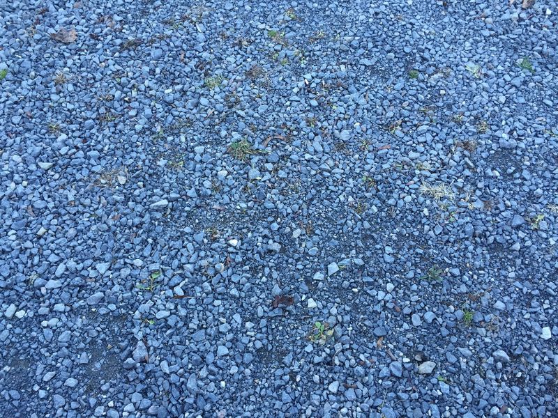 Ground cover at the confluence point. 