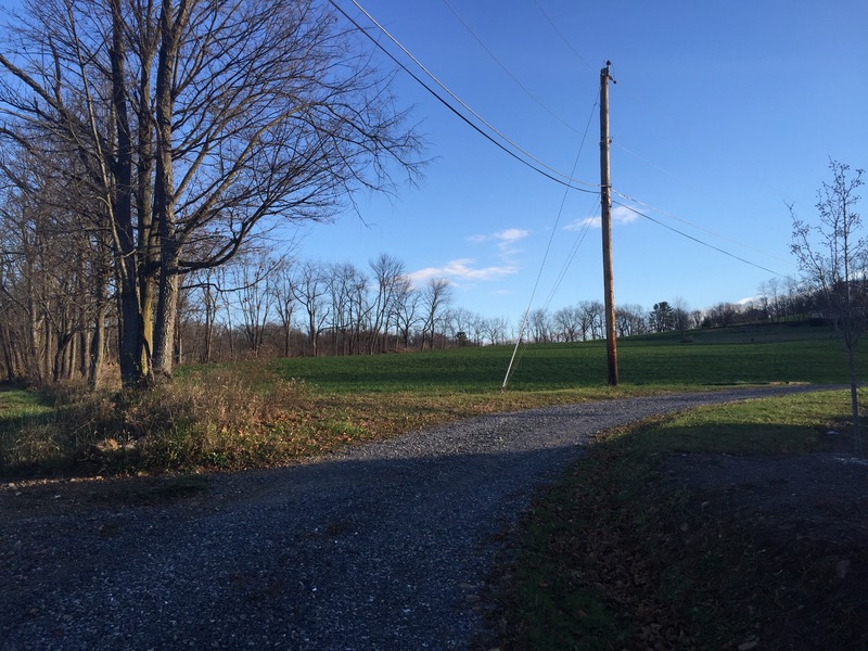 A more expansive view to the northeast, about 5 meters north-northwest of the confluence.