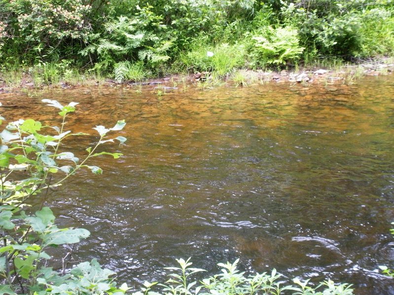 Standing on Confluence looking North across creek