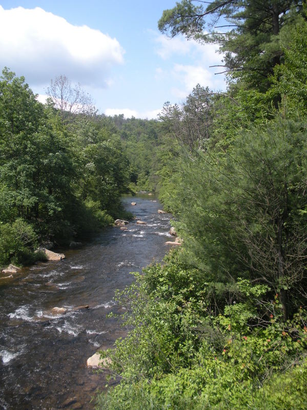 Looking downstream from Confluence