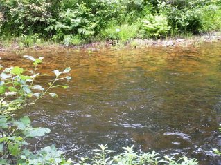 #1: Standing on Confluence looking North across creek