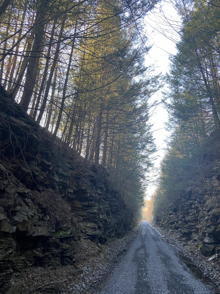 Rail to Trail route on the way to the confluence point. 