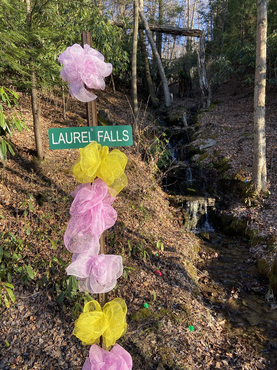 Laurel Falls about 1 km east of the confluence point. 