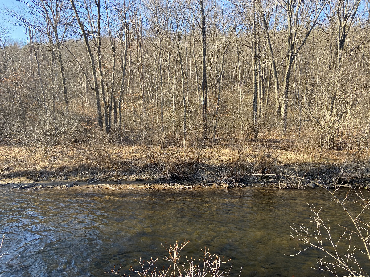 View to the north from the confluence point. 