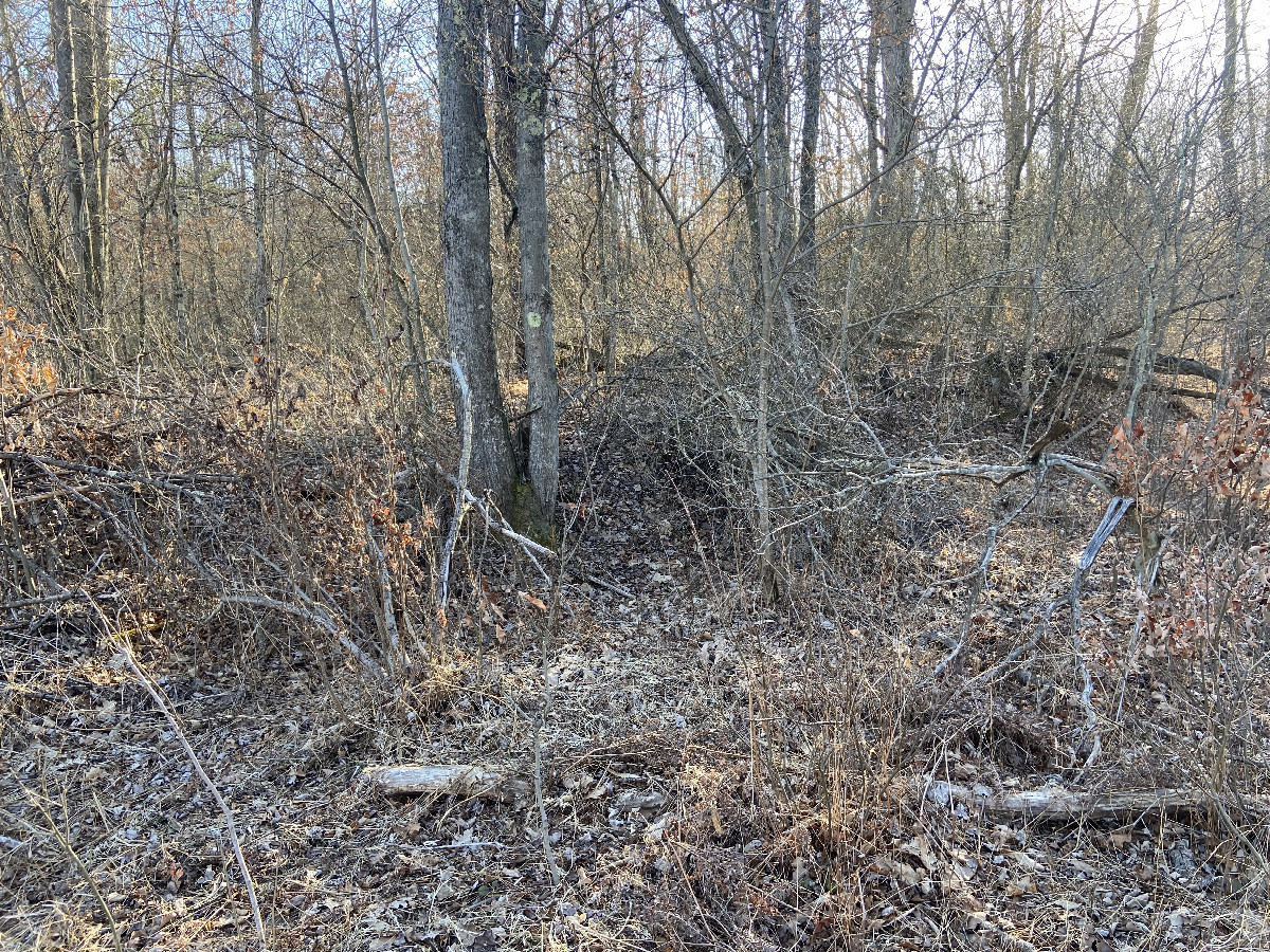 View to the west from the confluence point. 