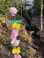 #11: Laurel Falls about 1 km east of the confluence point. 