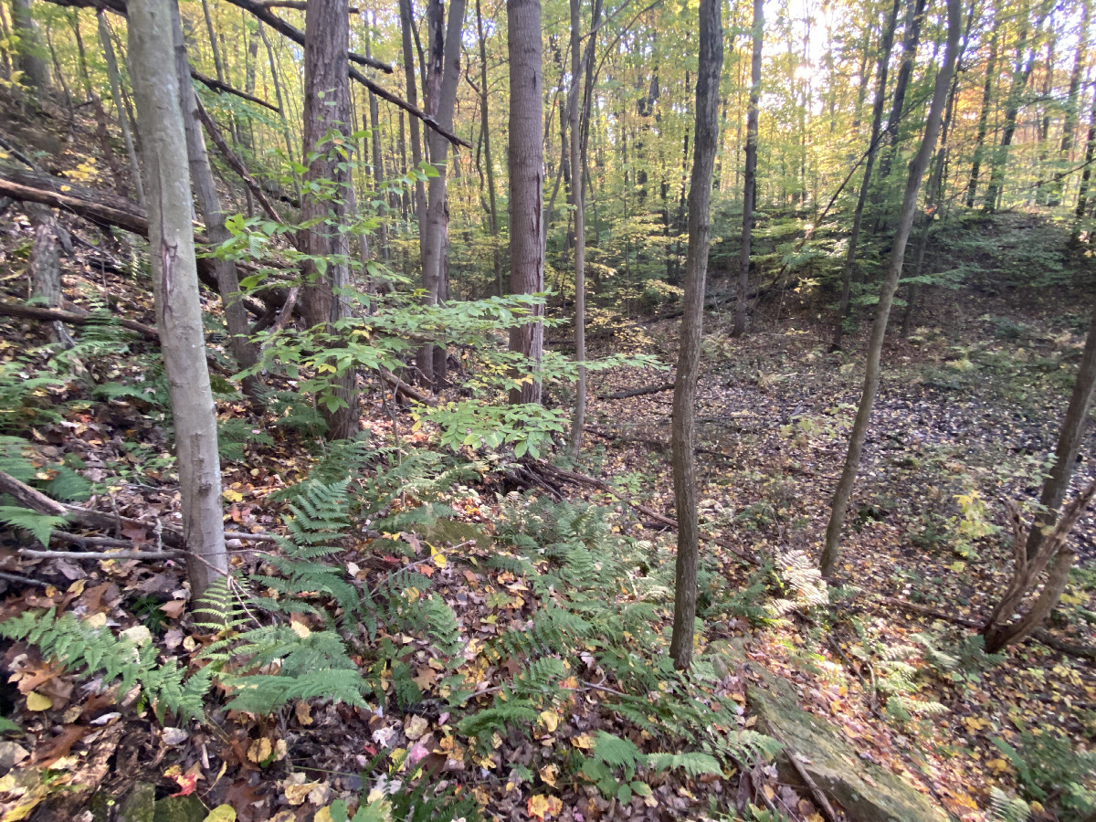 View of the confluence site in the foreground, looking Northwest.