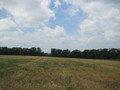 #5: West View
