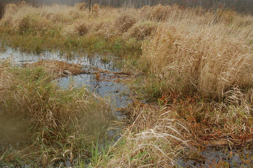 This river is in the way - at least waist deep - I tested it