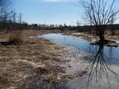 #4: Standing at GZ looking back towards bridge