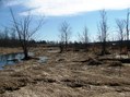 #6: Heading back!
