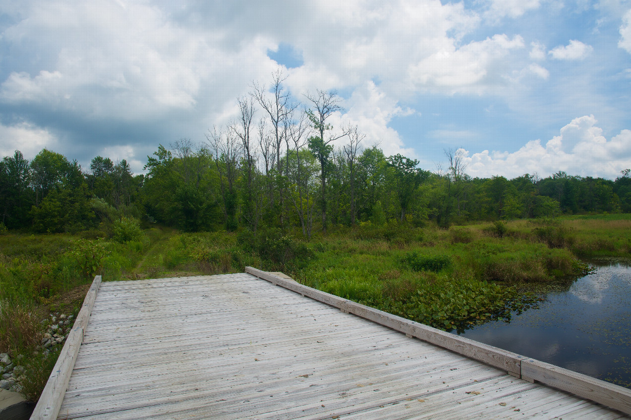 View East (from 104 m South of the point)