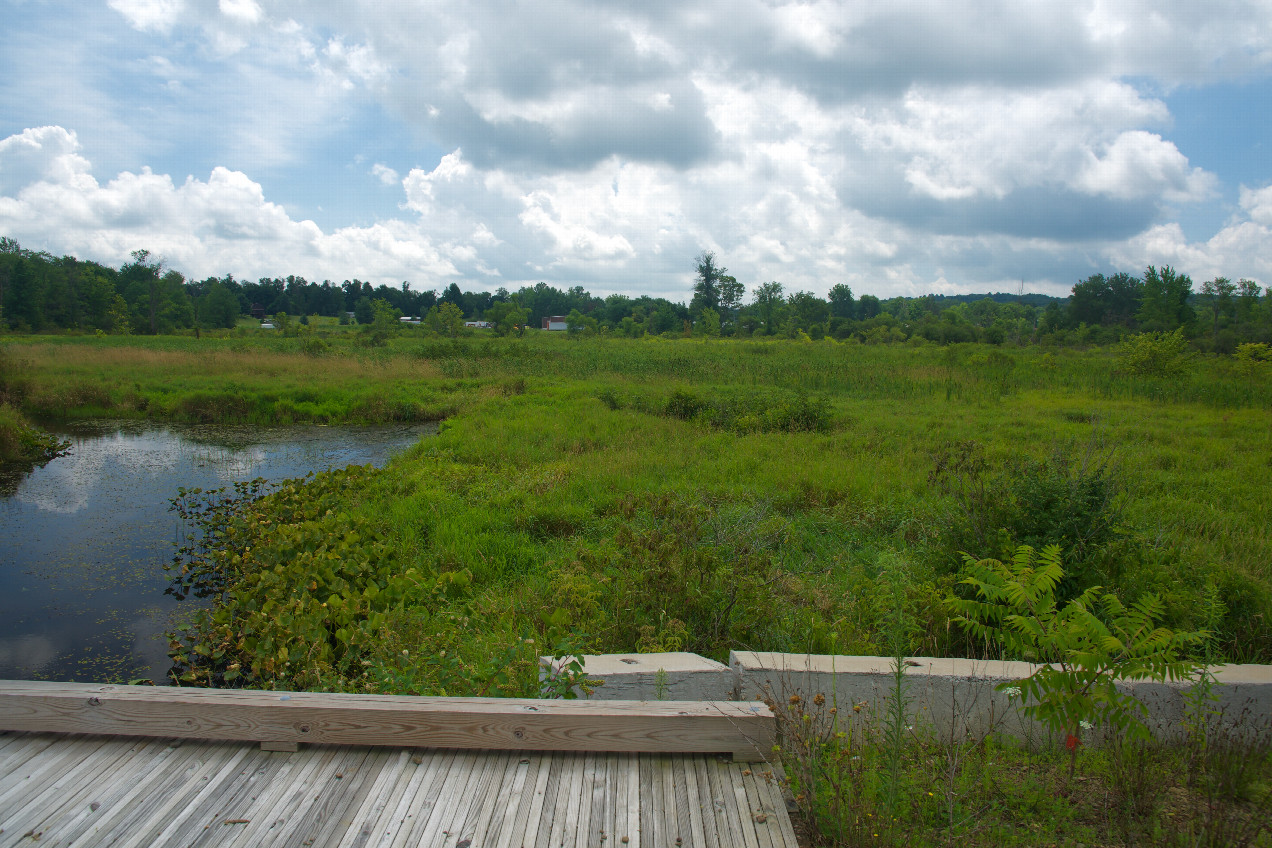 View South (from 104 m South of the point)