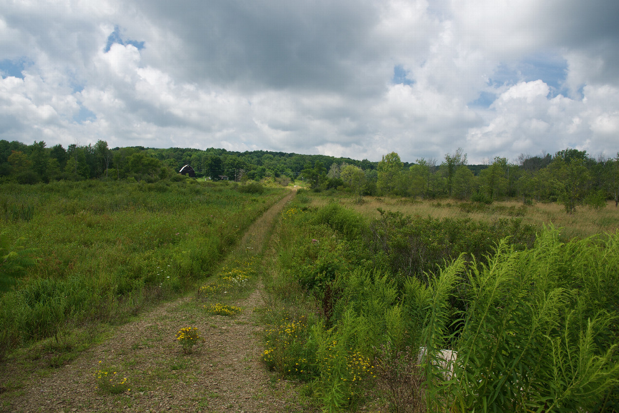 View West (from 104 m South of the point)