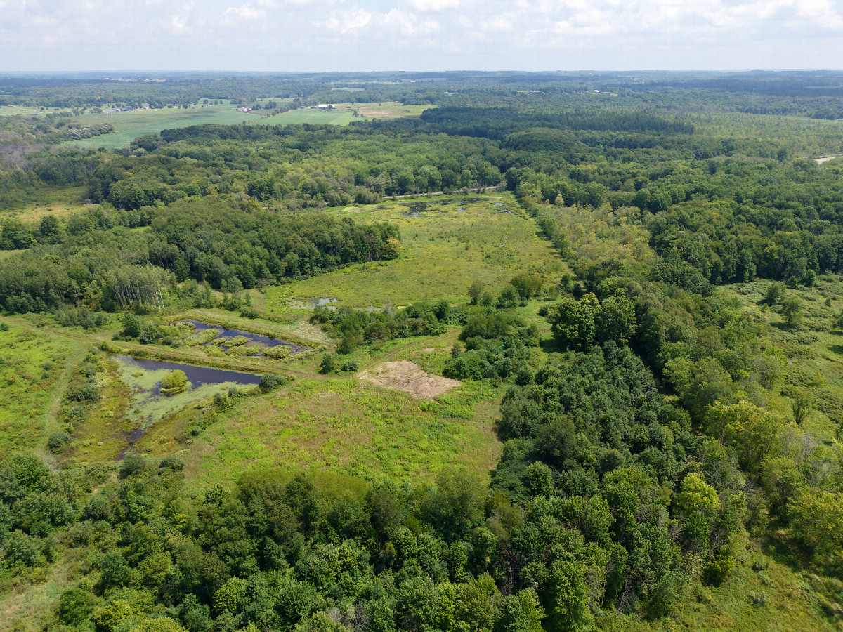 View East, from 120m above the point