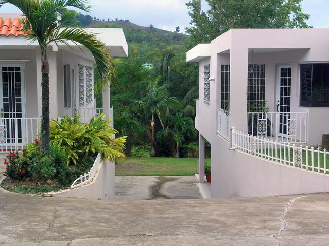 View into the garden