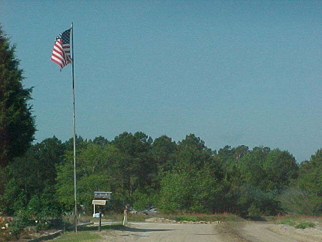 General Location, Shadow on ditchbank next to trees