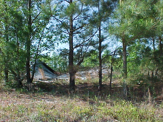 Remnants of old Farm house next to point