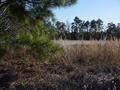 #3: Looking South from the confluence point