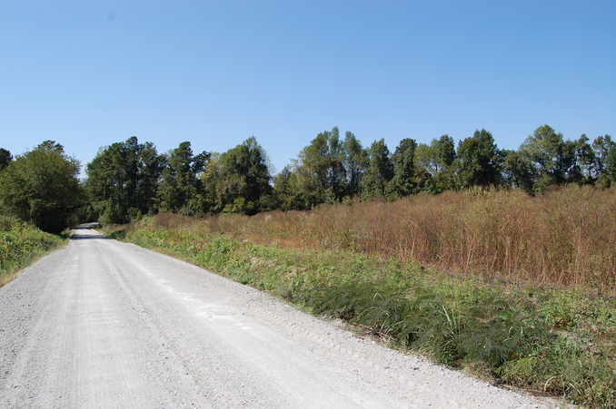 Looking west from the confluence.