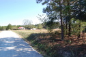 #2: Looking east from the confluence.