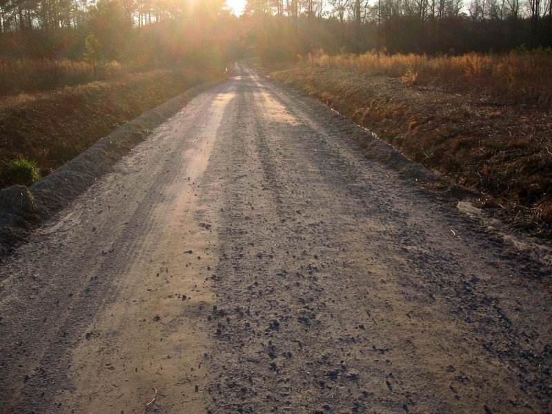 View west down Bluegrass Rd into the setting sun.