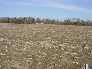 #1: Looking North from the confluence point