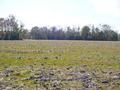 #3: Looking South from the confluence point