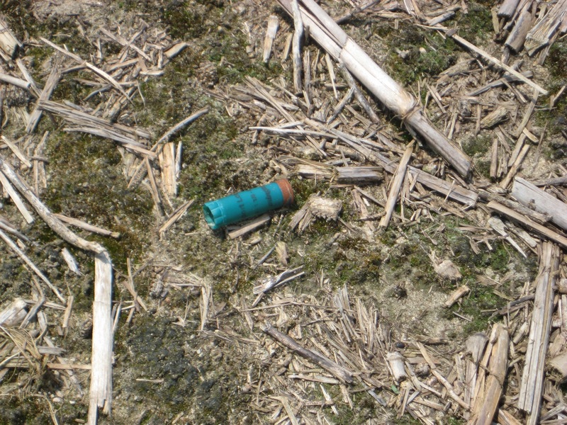 Ground view - Used Shotgun Shell